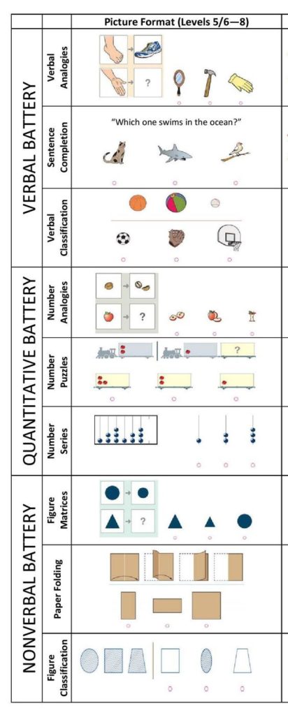 CogAT Test - Smarty Buddy Blog